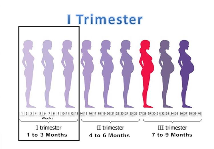 Bầu 3 tháng đầu không tăng cân, thai nhi có sao không?